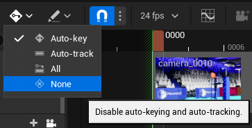 ../../_images/advanced-camera-autokey-disable.png