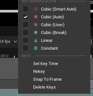 ../../_images/camera-key-type.png