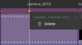 ../../_images/advanced-camera-delete.png