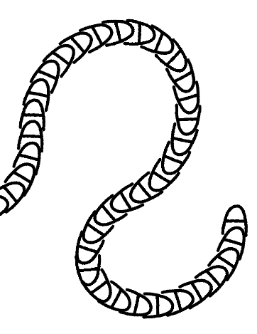 ../../../../_images/odysseybrush-nodes-transform-other-rotate-result.png