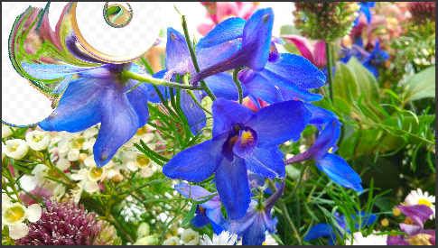 ../../../_images/raster-liquify-common-border-photonone.png